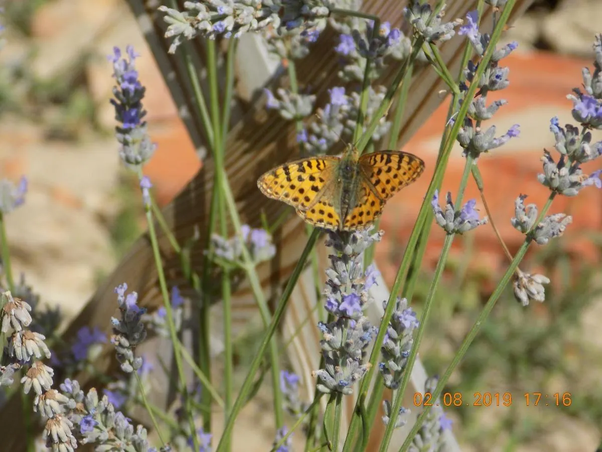 Les Papillons Villa Vrolle Holiday home